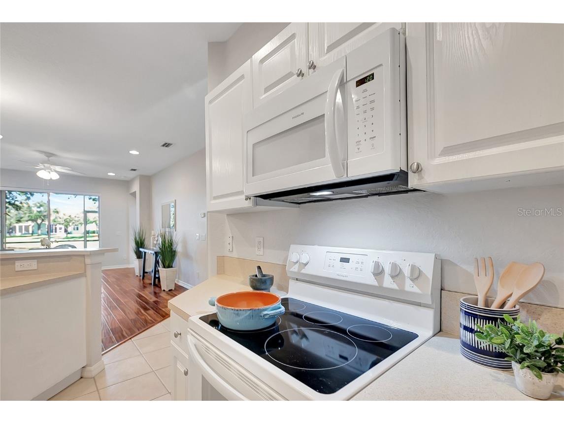 11509 Captiva Kay Drive Riverview FL 33569 TB8448318 image20