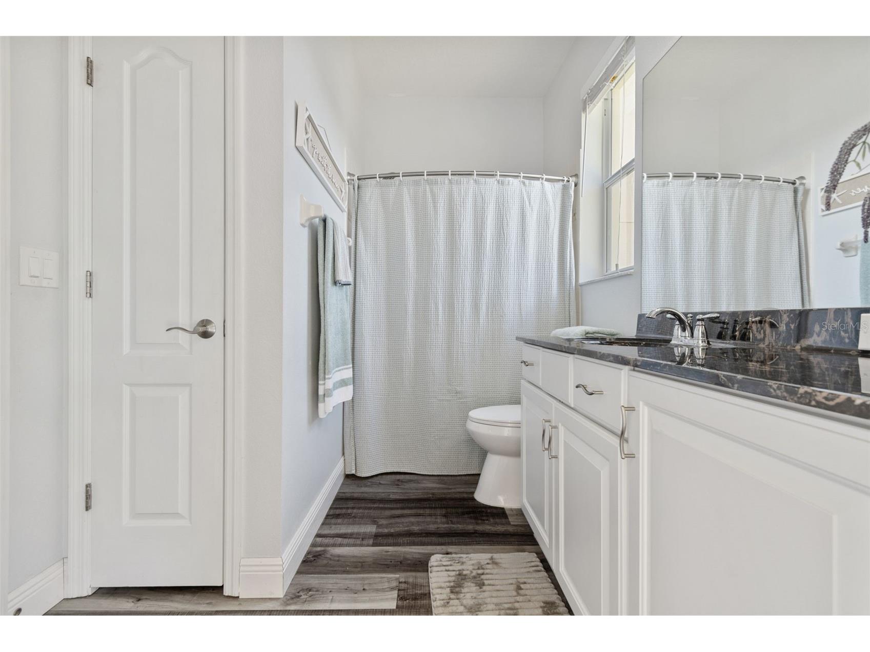 11509 Dutch Iris Drive Riverview FL 33578 TB8509335 image18