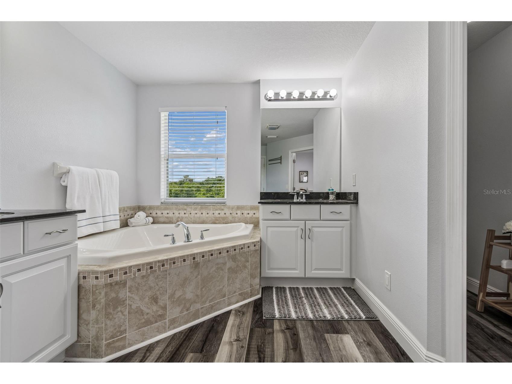 11509 Dutch Iris Drive Riverview FL 33578 TB8509335 image37