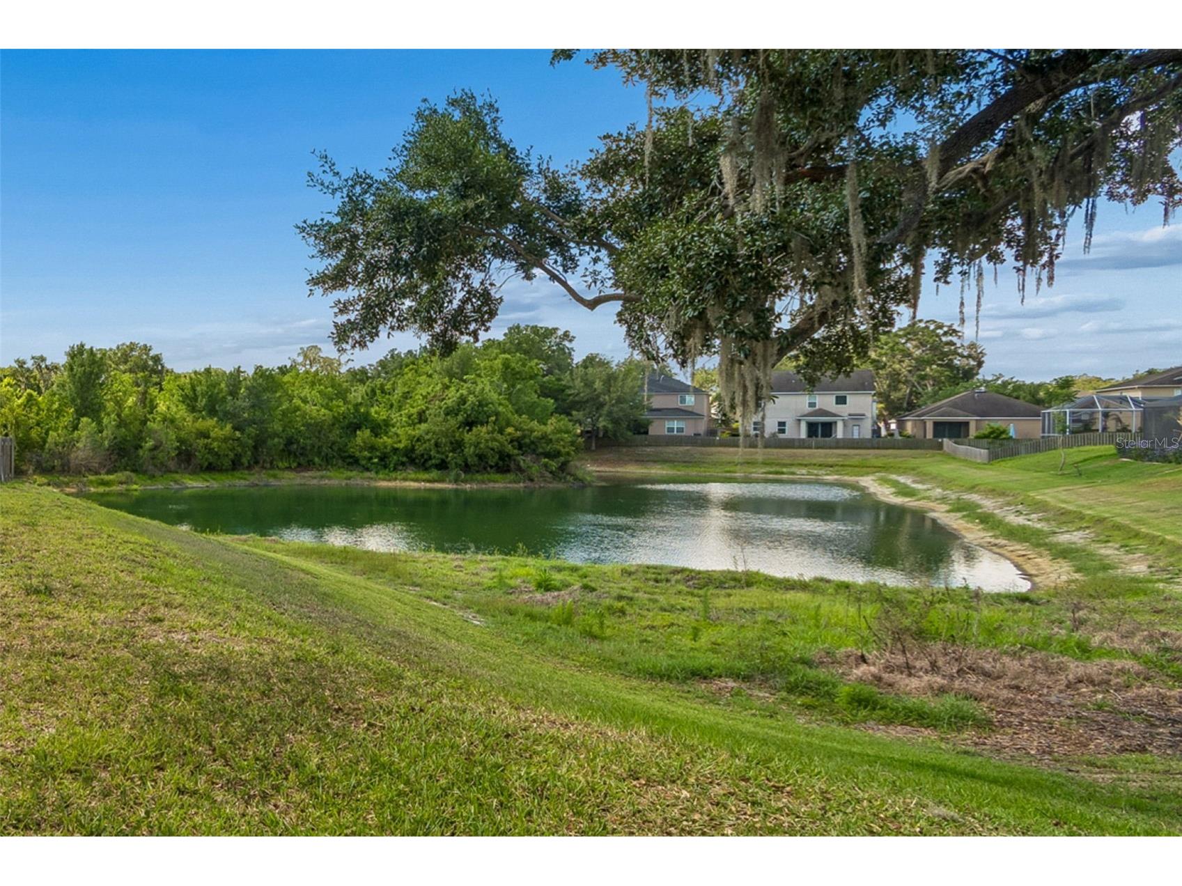 11509 Dutch Iris Drive Riverview FL 33578 TB8509335 image46