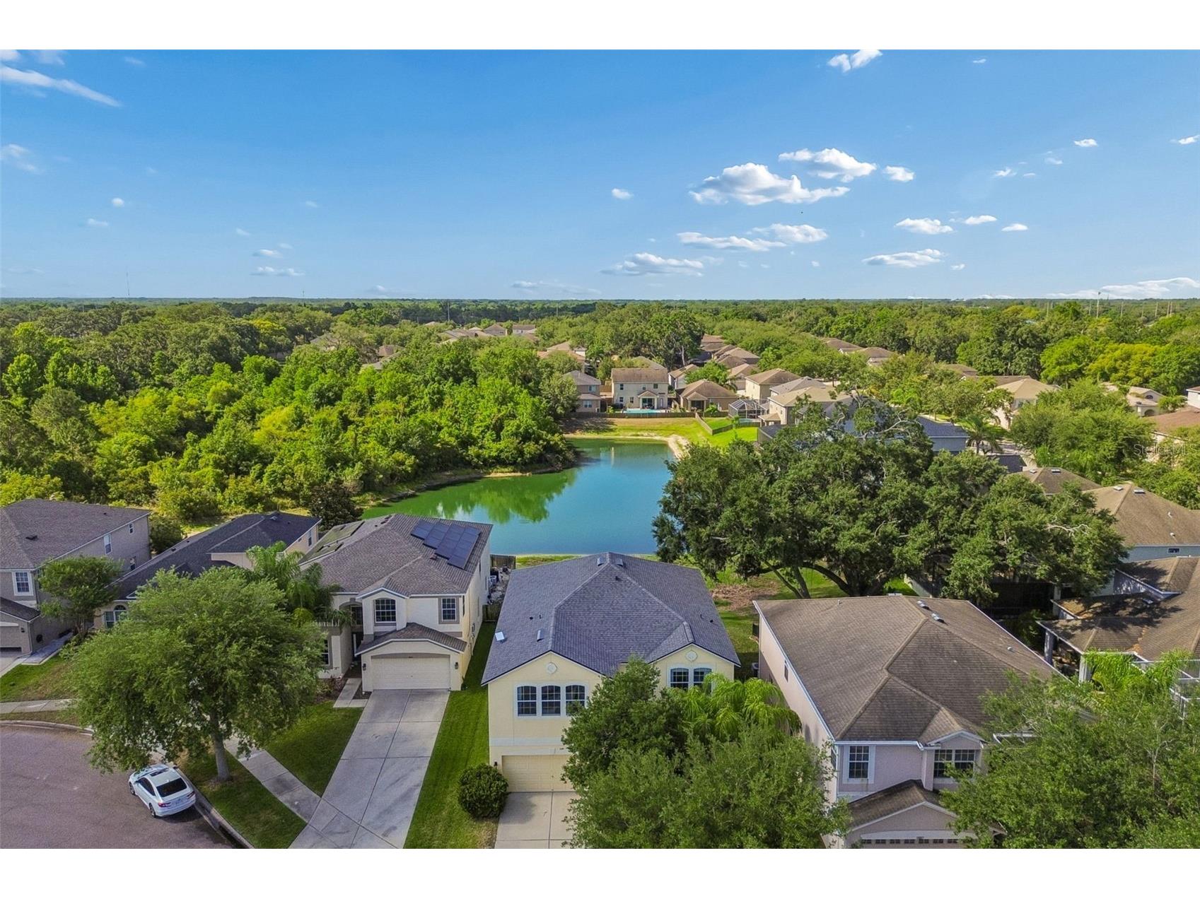 11509 Dutch Iris Drive Riverview FL 33578 TB8509335 image47