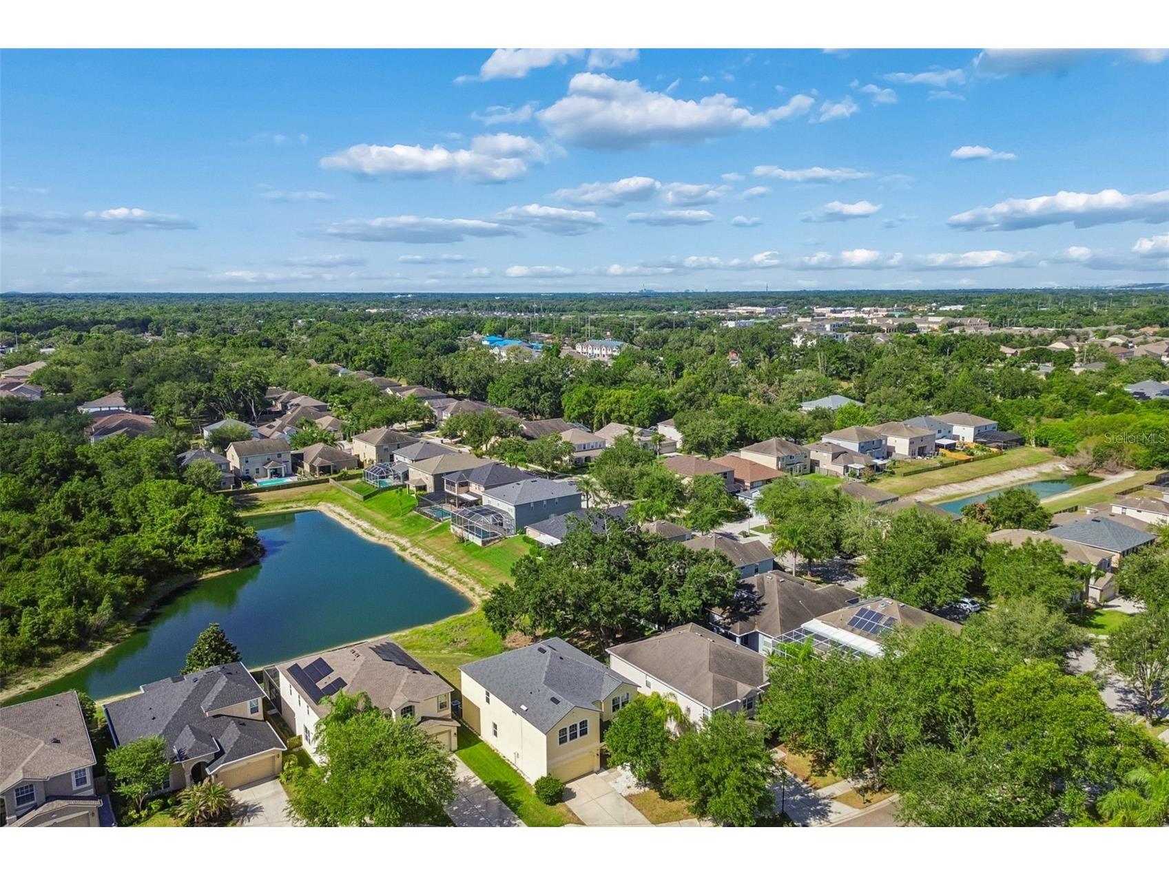 11509 Dutch Iris Drive Riverview FL 33578 TB8509335 image50