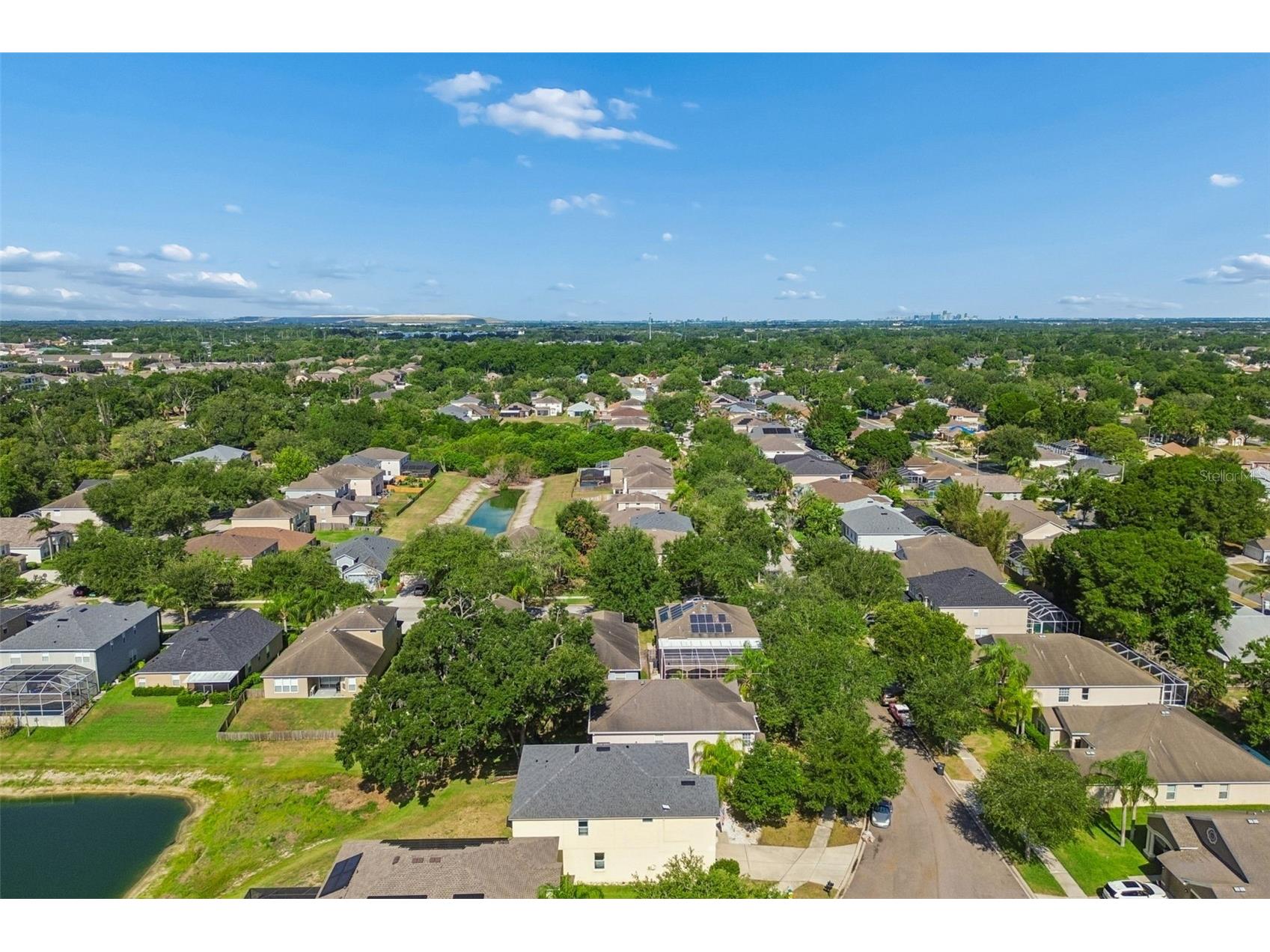 11509 Dutch Iris Drive Riverview FL 33578 TB8509335 image51