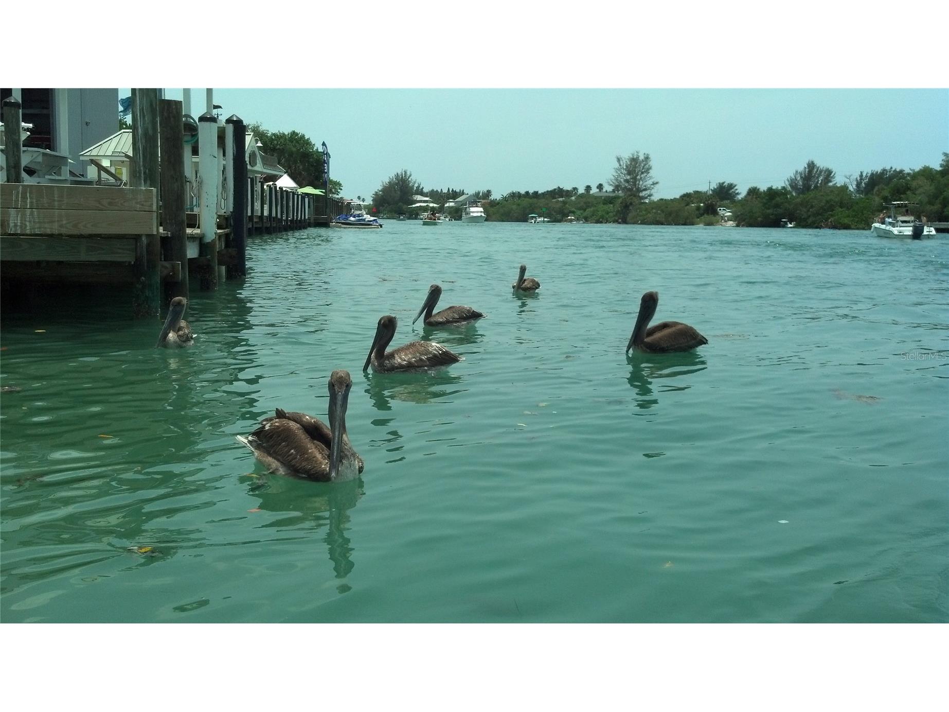 1151 Boundary Boulevard Rotonda West FL 33947 D6143953 image72