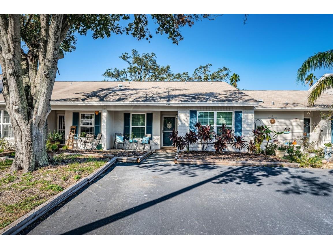 1151 Dover Court Safety Harbor FL 34695 TB8314708 image1