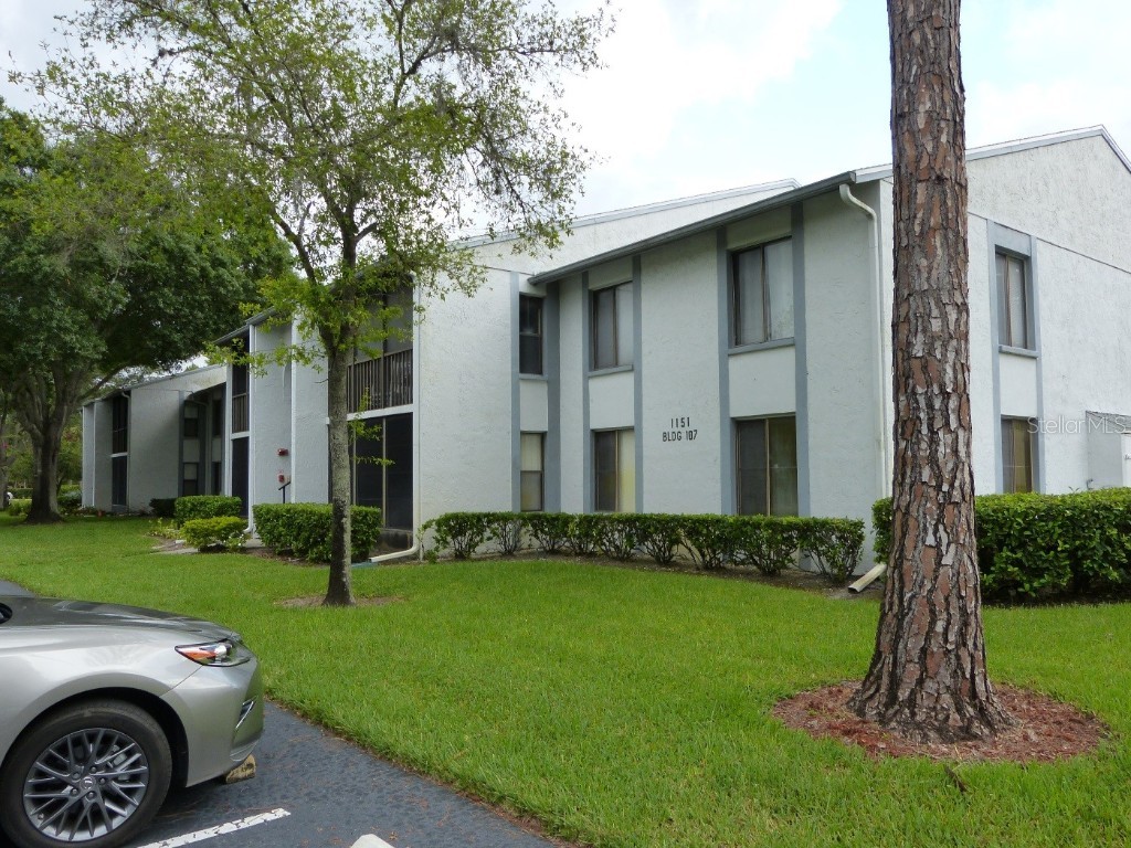 1151 Pine Ridge Circle W #F1 Tarpon Springs FL 34688 - POND U8196570 image1