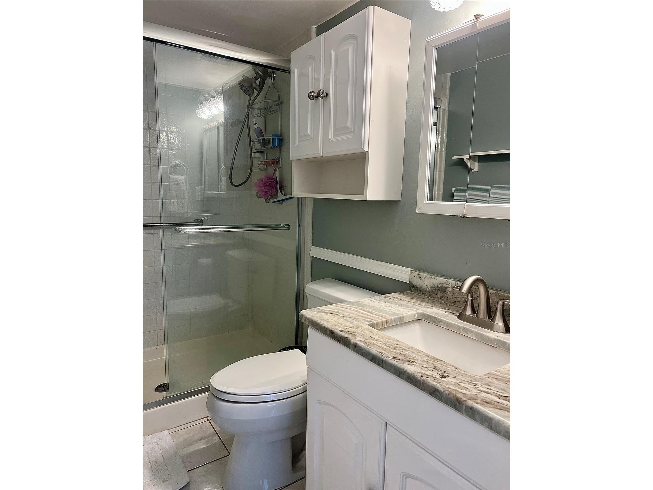1151 Pine Ridge Circle W #G2 Tarpon Springs FL 34688 TB8472365 image17