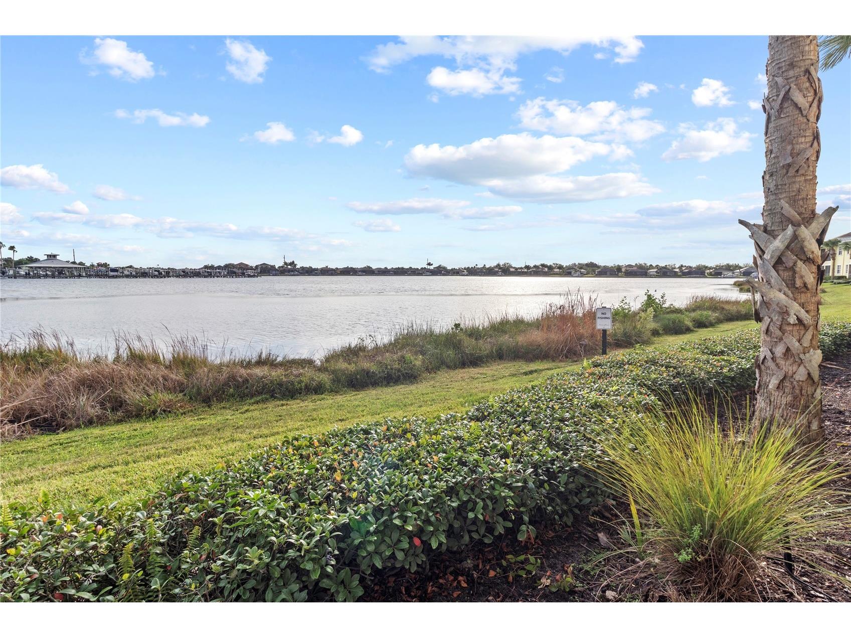 1151 Riverscape Street Bradenton FL 34208 A4673794 image8