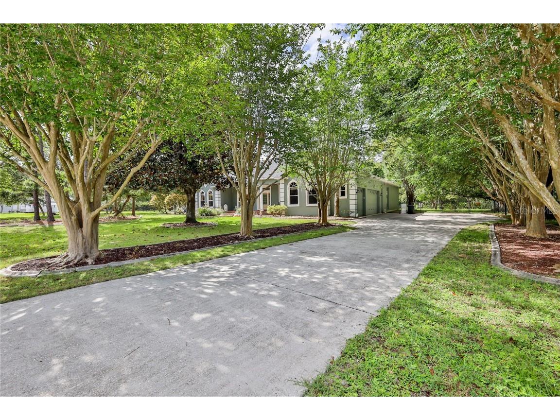 11510 Lakeview Drive New Port Richey FL 34654 W7876443 image1