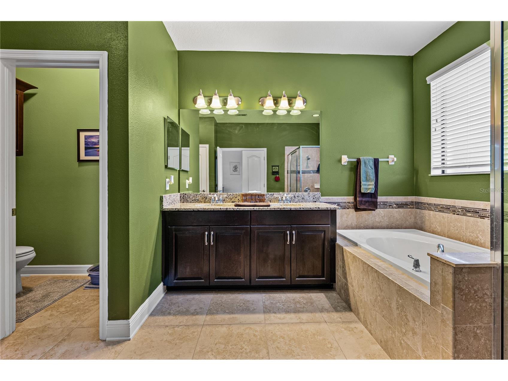 11510 Sand Stone Rock Drive Riverview FL 33569 TB8480207 image29