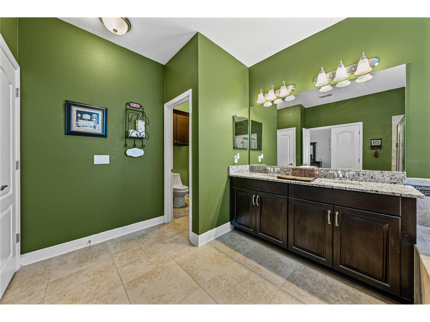 11510 Sand Stone Rock Drive Riverview FL 33569 TB8480207 image30