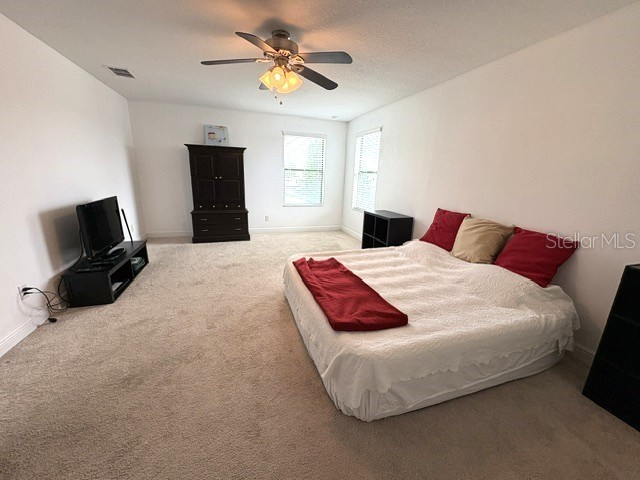 11510 Sand Stone Rock Drive Riverview FL 33569 TB8480207 image50