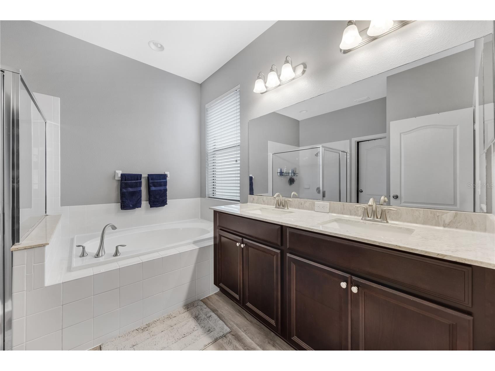 11510 Scarlet Ibis Place Riverview FL 33569 TB8502319 image25