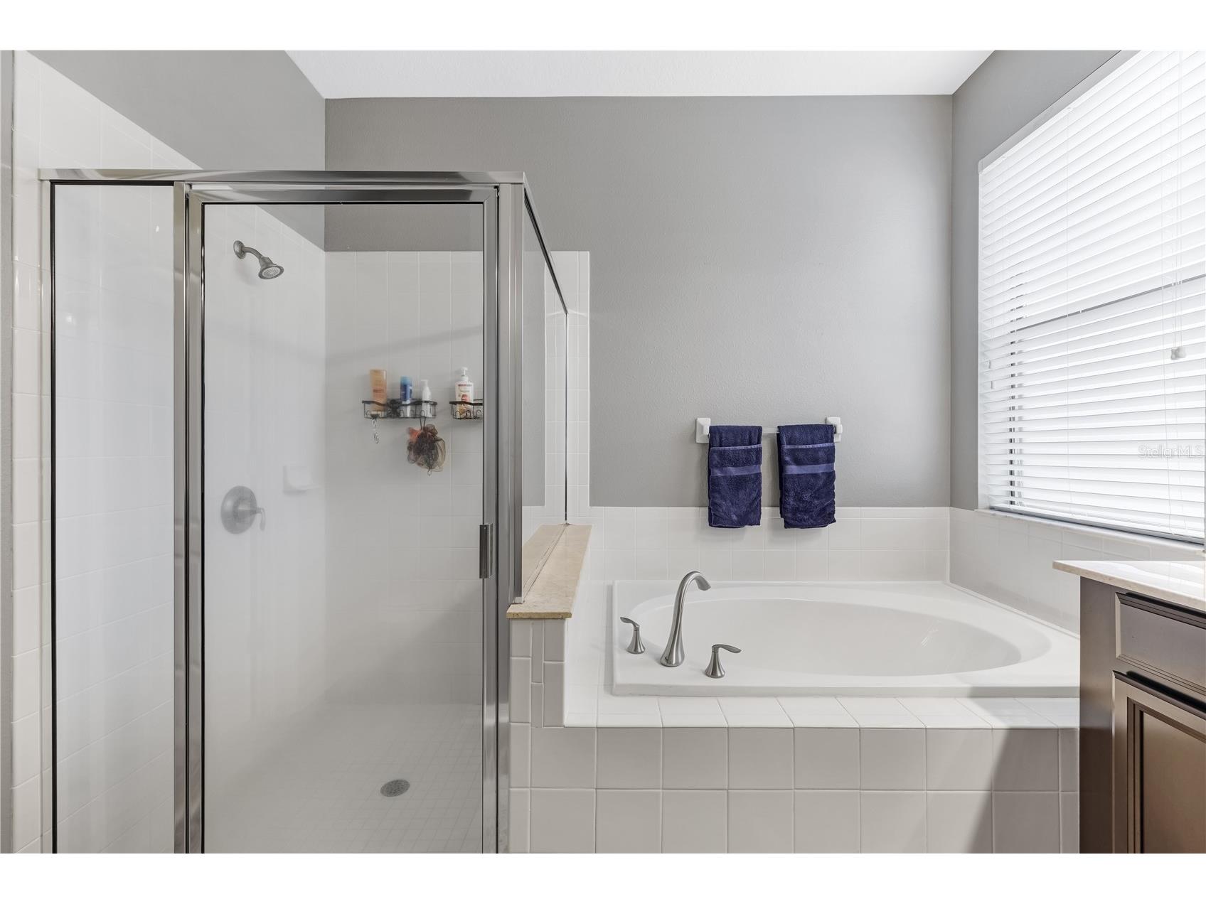 11510 Scarlet Ibis Place Riverview FL 33569 TB8502319 image26