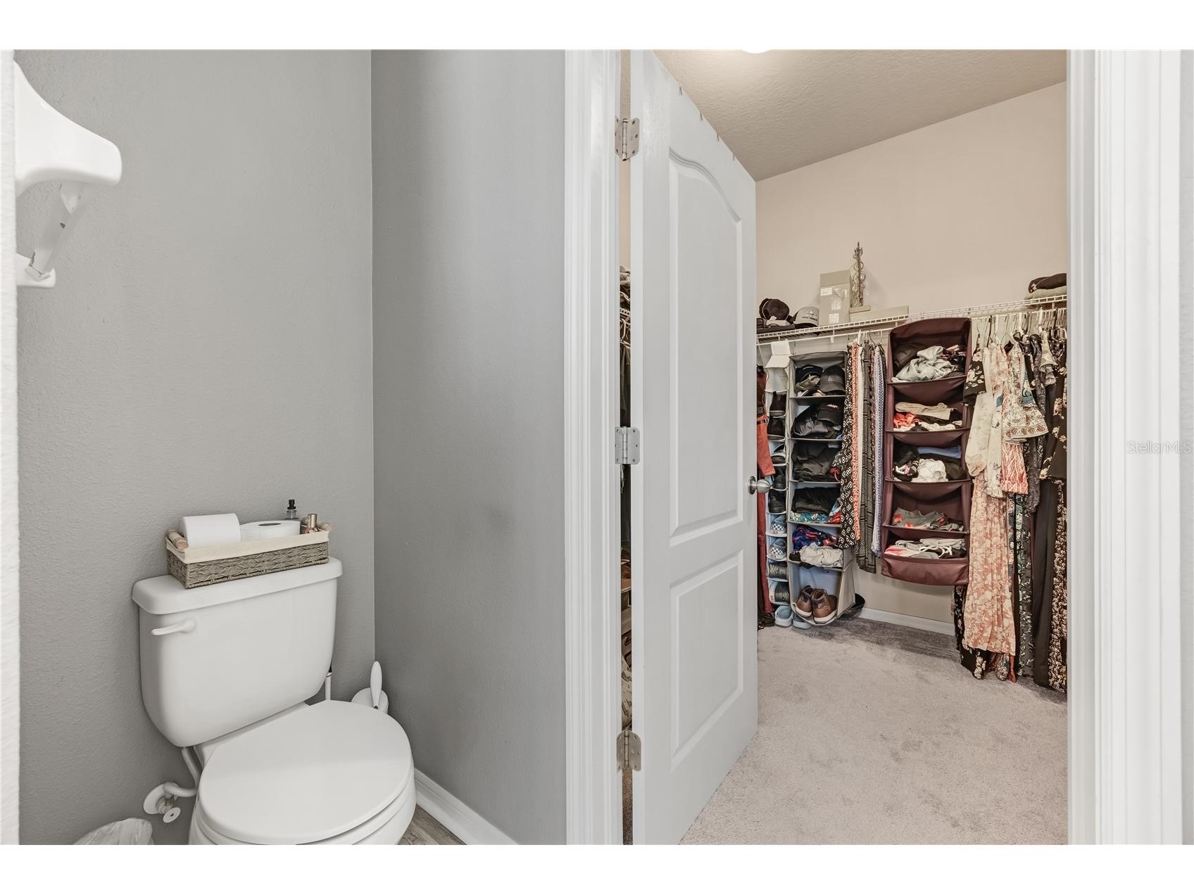11510 Scarlet Ibis Place Riverview FL 33569 TB8502319 image27
