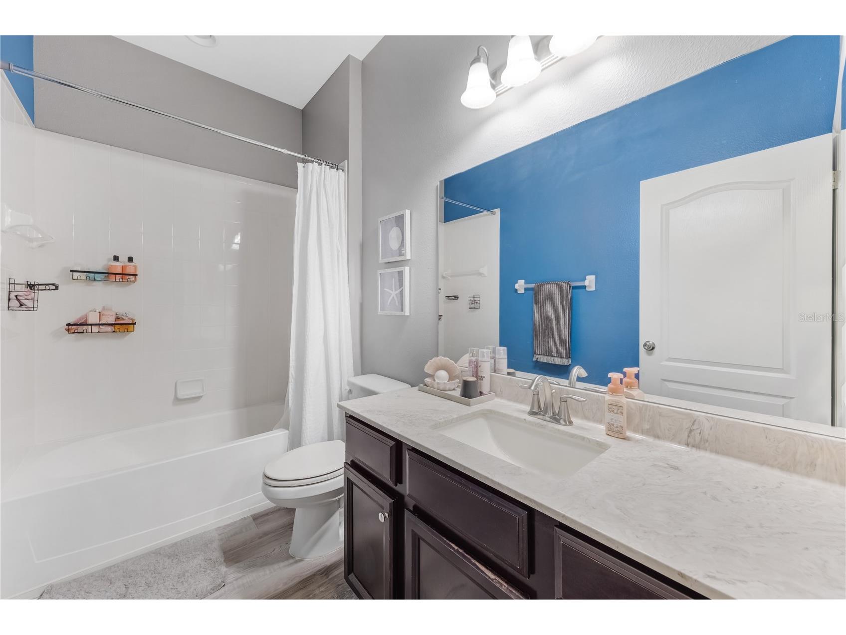 11510 Scarlet Ibis Place Riverview FL 33569 TB8502319 image42