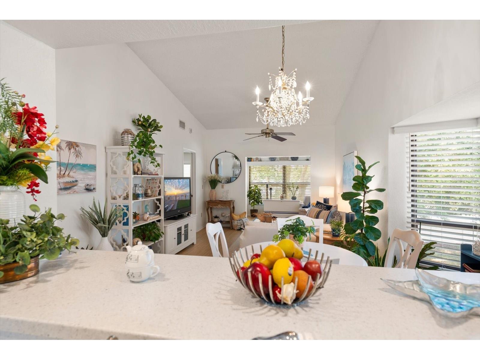 11511 113th Street #10H Largo FL 33778 TB8490425 image6