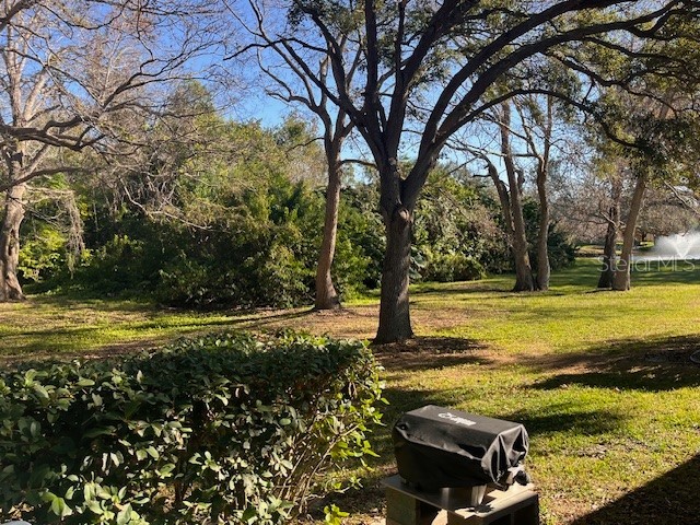 11511 113th Street #21C Seminole FL 33778 TB8454217 image26