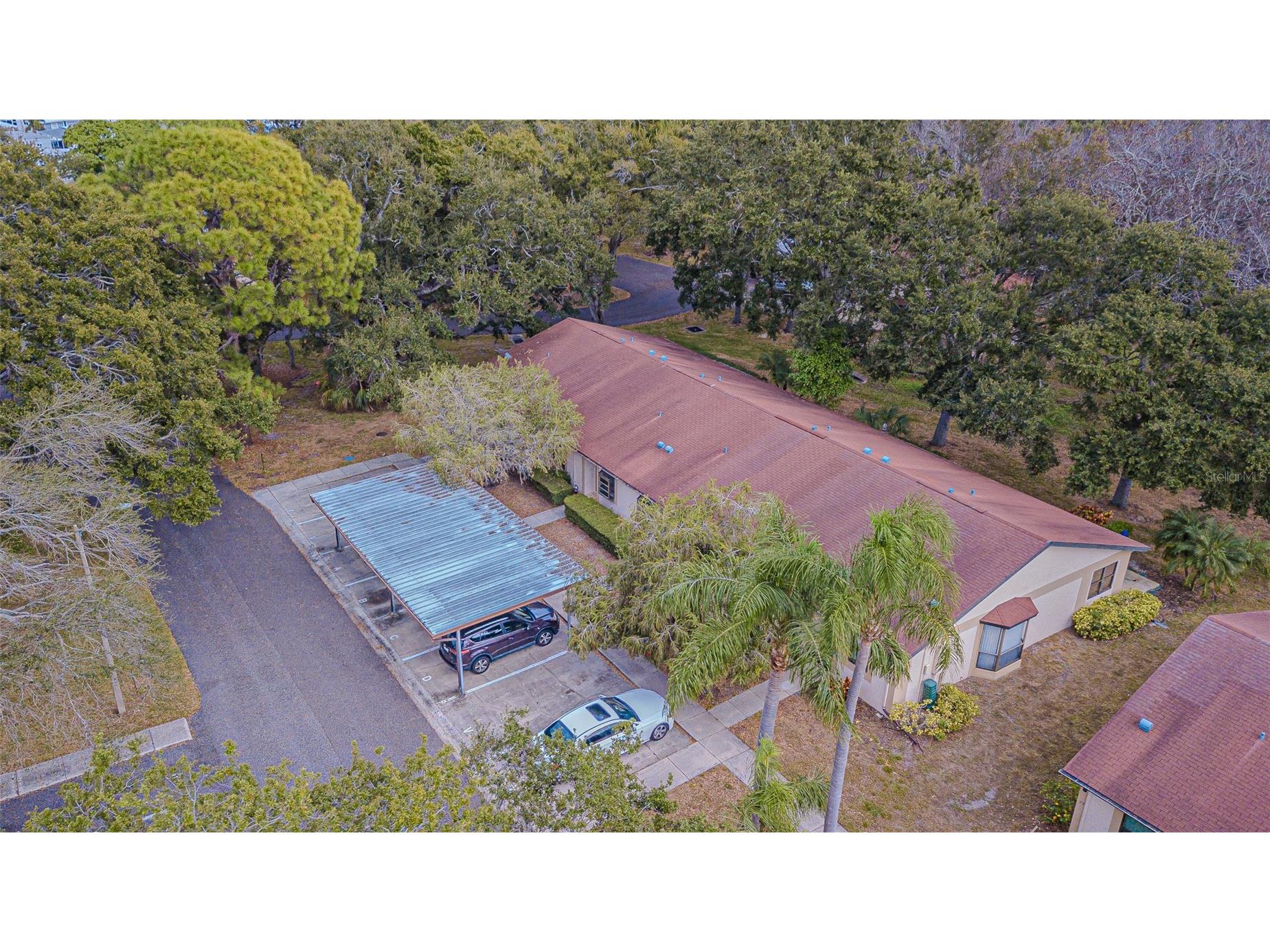 11511 113th Street #21C Seminole FL 33778 TB8454217 image32