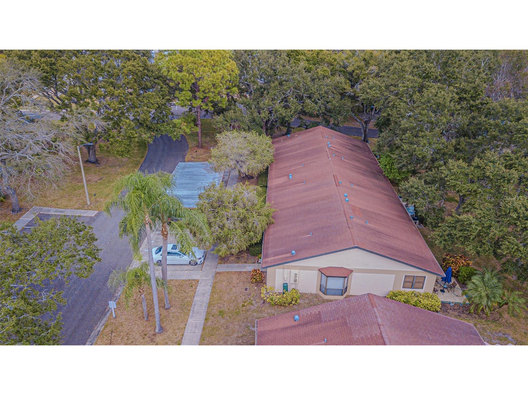 11511 113th Street #21C Seminole FL 33778 TB8454217 image33