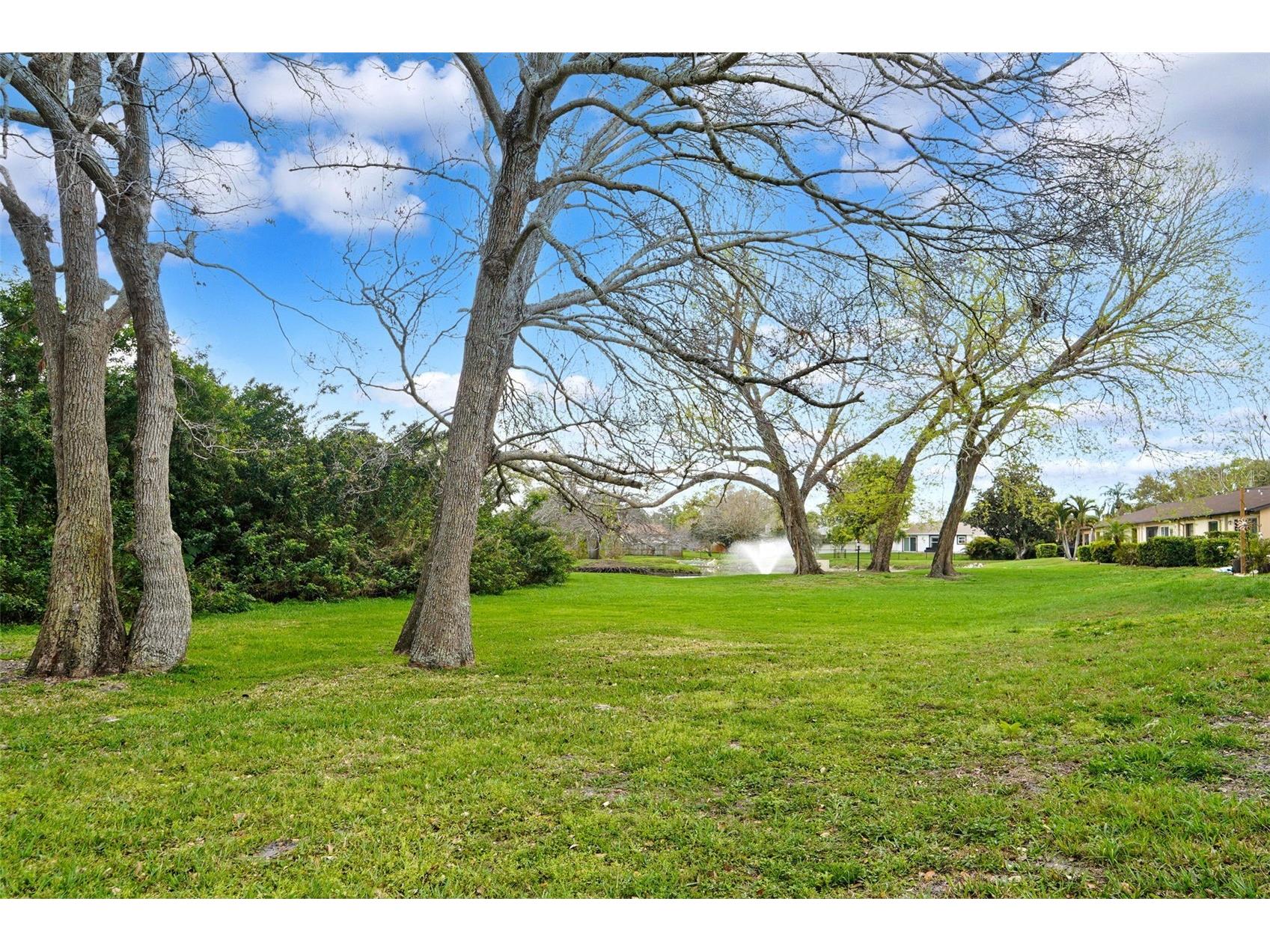 11511 113th Street #21D Largo FL 33778 TB8485372 image23