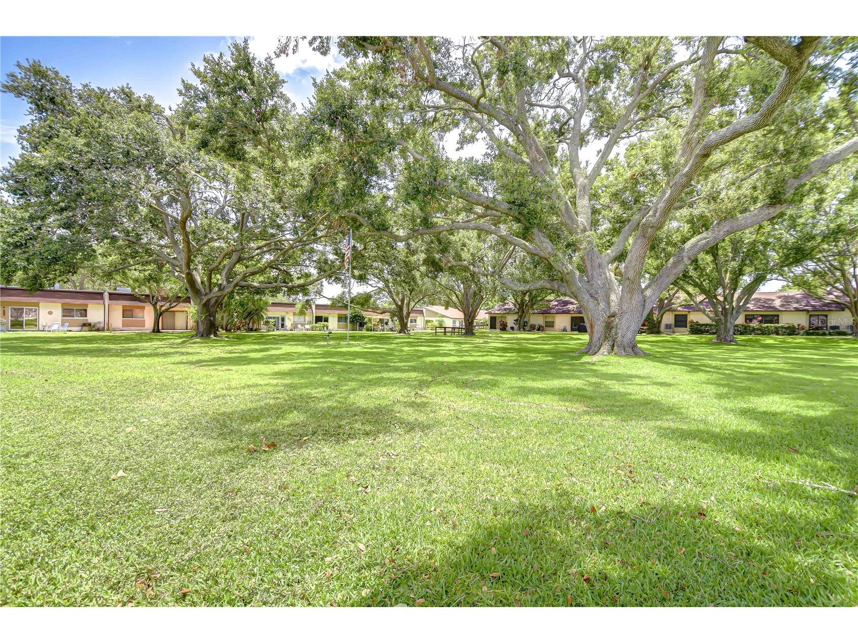 11511 113th Street #33D Largo FL 33778 TB8396860 image33