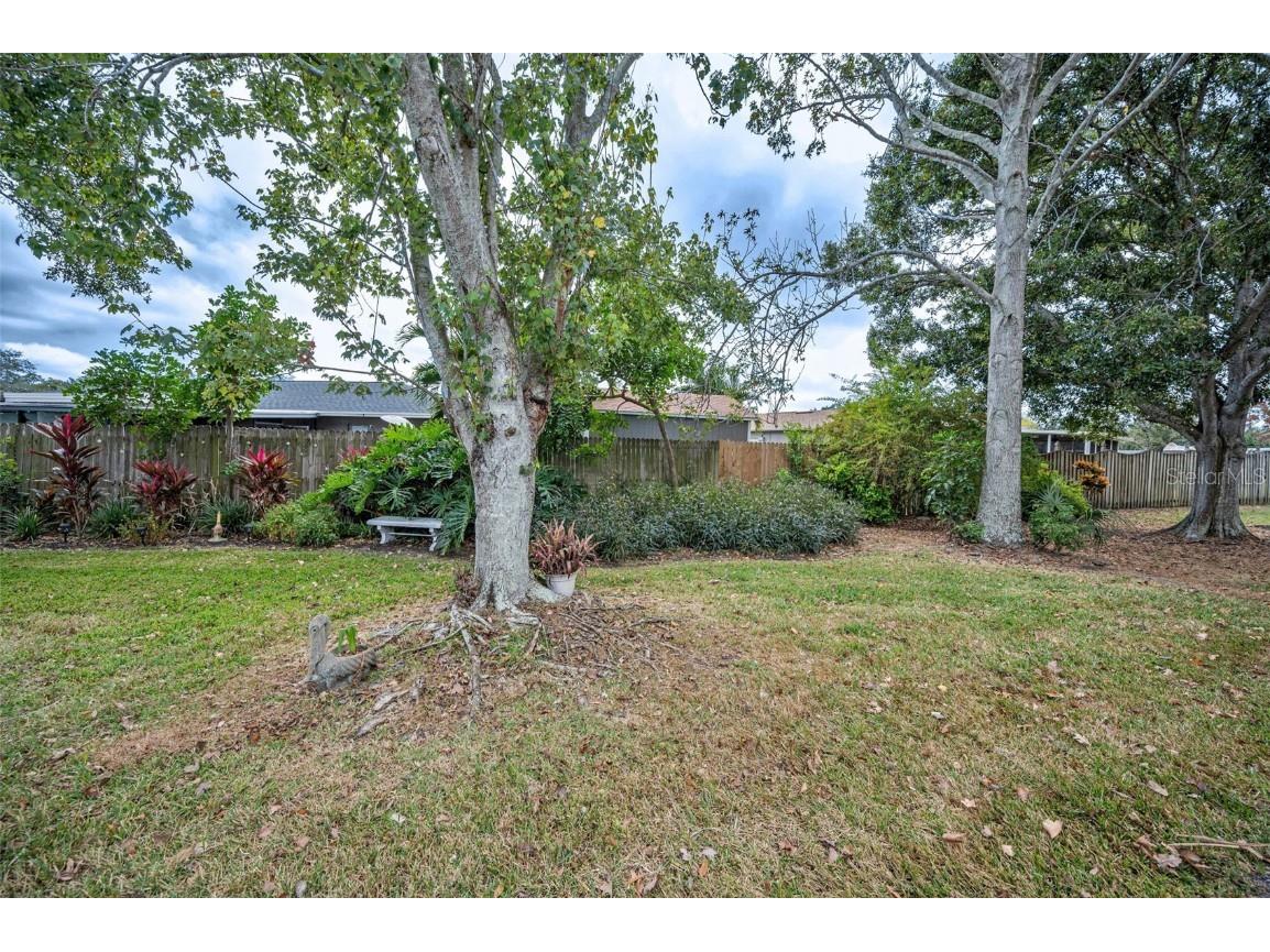 11511 113th Street #35E Largo FL 33778 TB8454138 image46