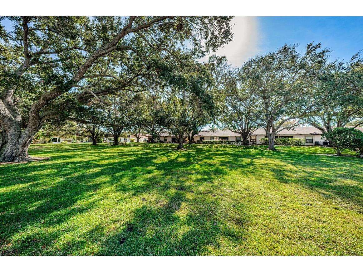 11511 113th Street #35E Largo FL 33778 TB8454138 image61