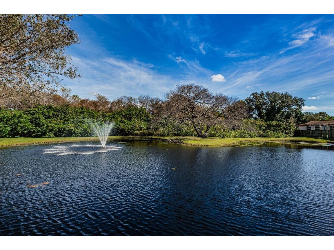 11511 113th Street #35E Largo FL 33778 TB8454138 image62