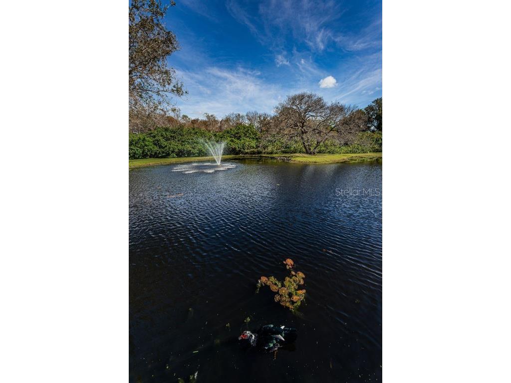 11511 113th Street #35E Largo FL 33778 TB8454138 image63