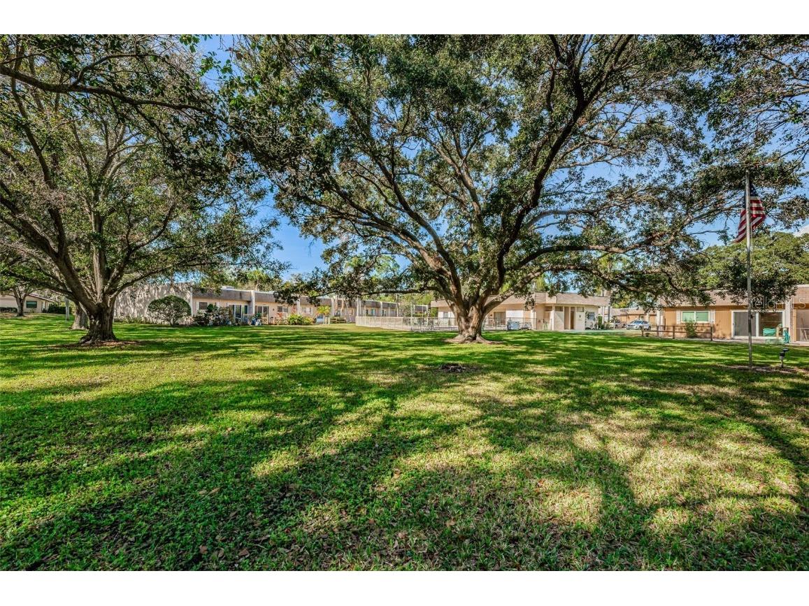 11511 113th Street #35E Largo FL 33778 TB8454138 image68