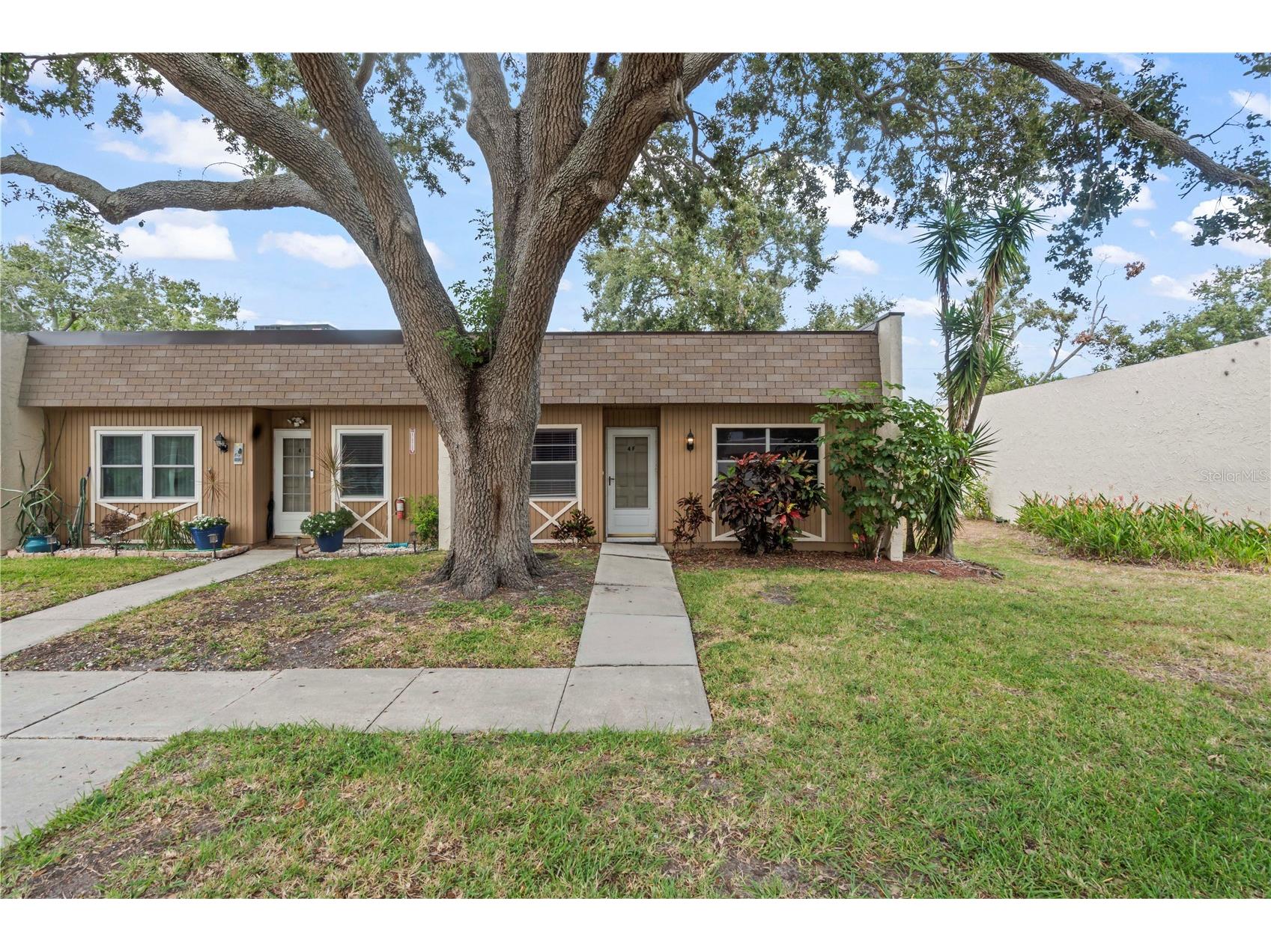 11511 113th Street #4F Largo FL 33778 TB8504533 image28