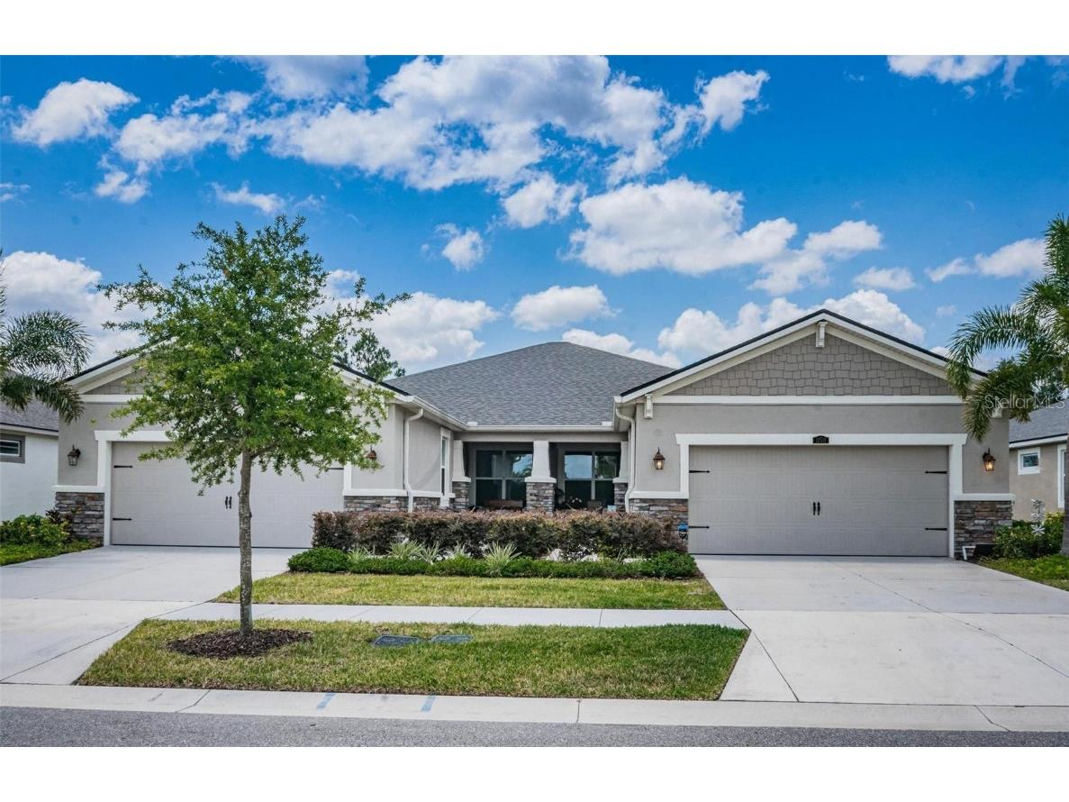 11511 Cambium Crown Drive Riverview FL 33569 T3540675 image1