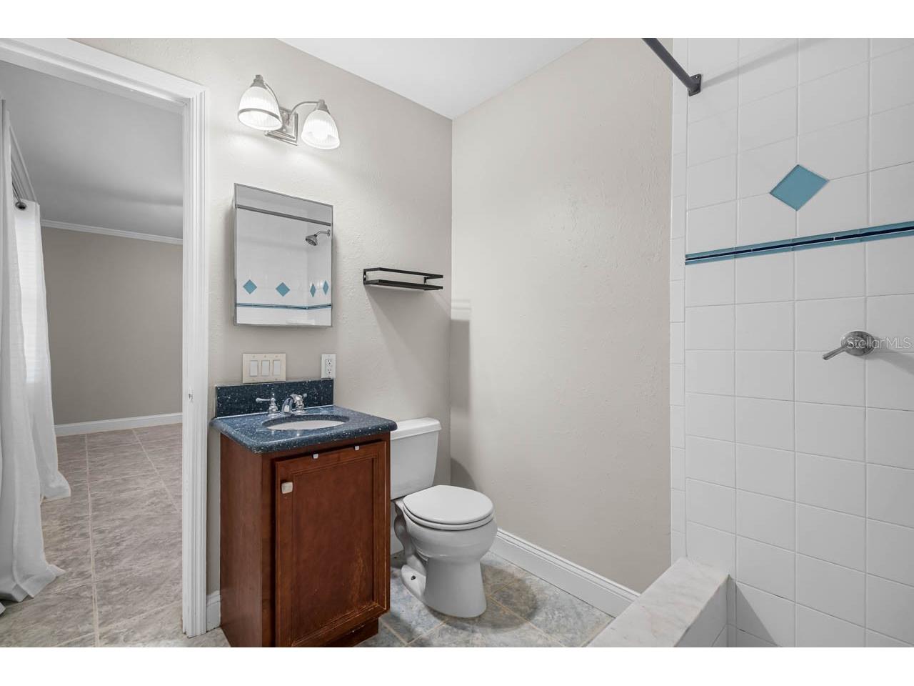 11511 Mcmullen Loop Riverview FL 33569 TB8516581 image23