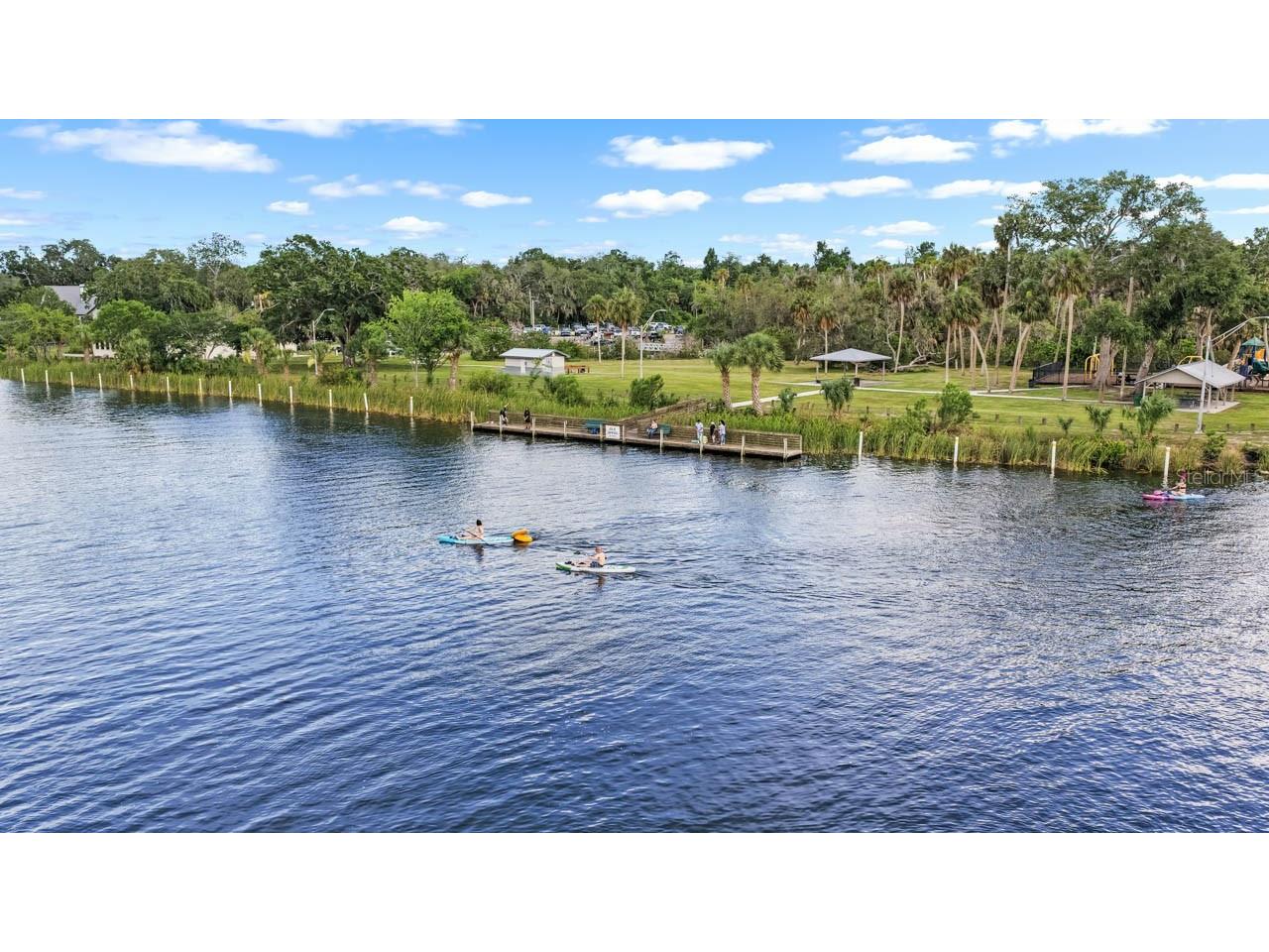 11511 Mcmullen Loop Riverview FL 33569 TB8516581 image48