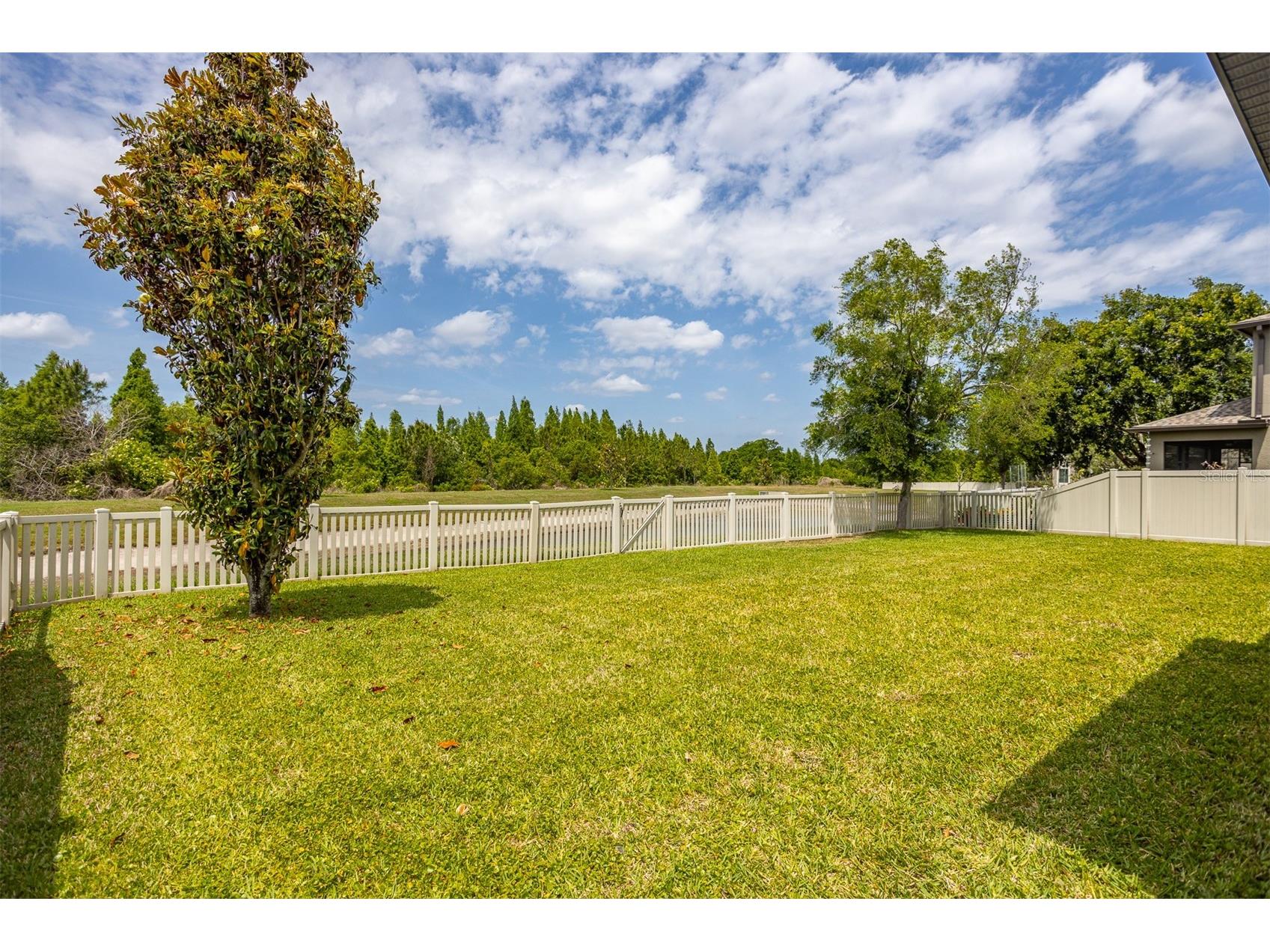 11511 Palmetto Pine Street Riverview FL 33569 TB8500546 image3