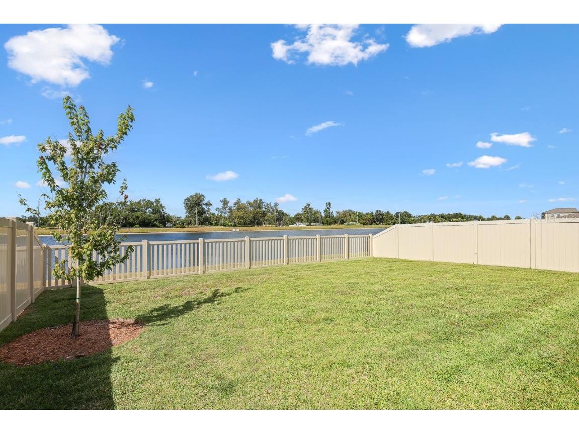 11512 Sage Canyon Drive Riverview FL 33578 TB8437702 image27