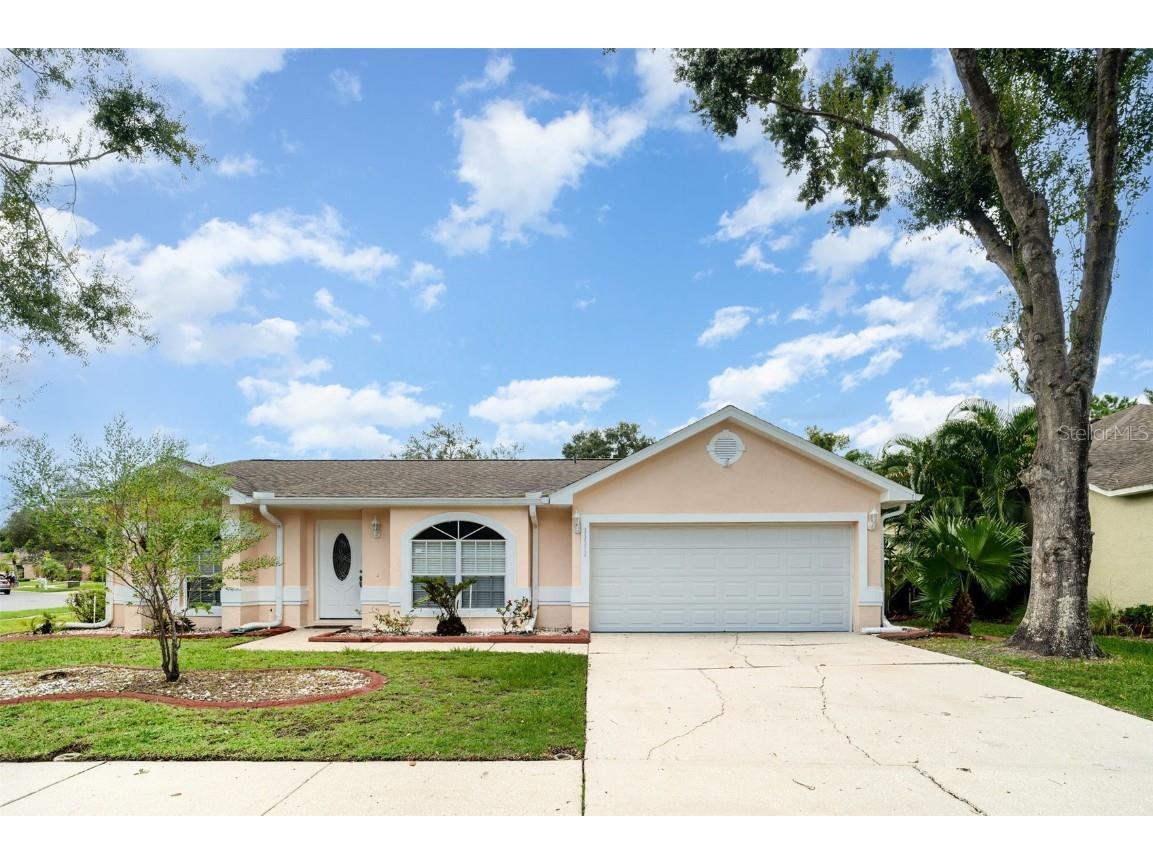 11512 Wellman Drive Riverview FL 33578 TB8424111 image1