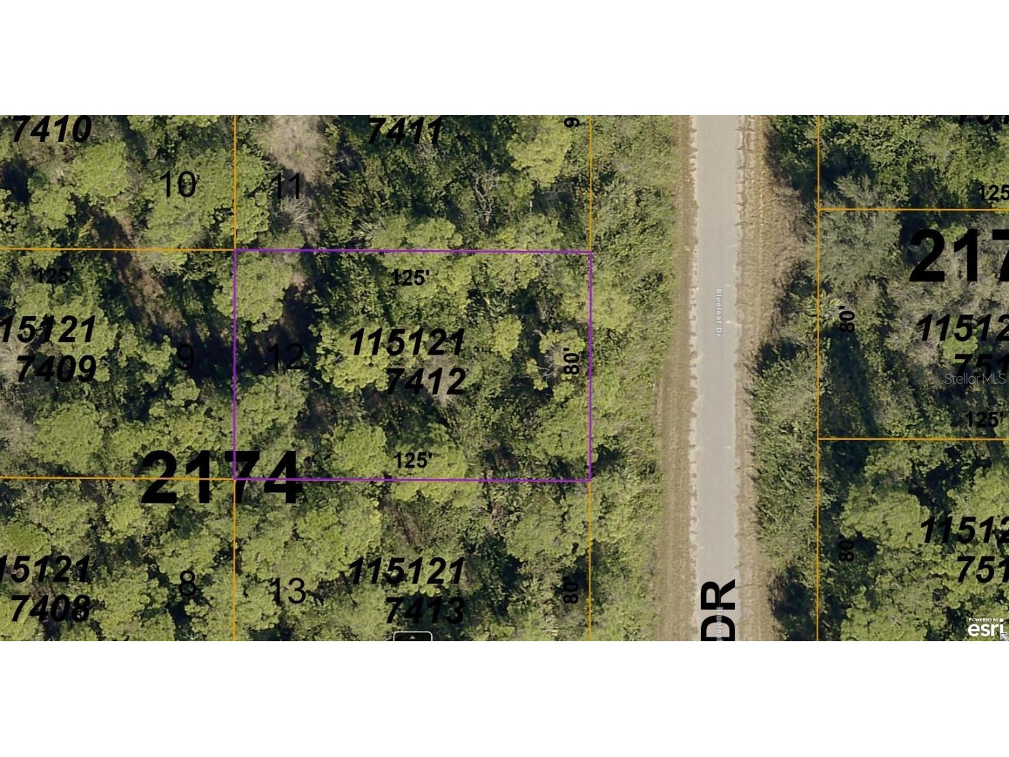 1151217412 Blueleaf Drive North Port FL 34288 A4575349 image1