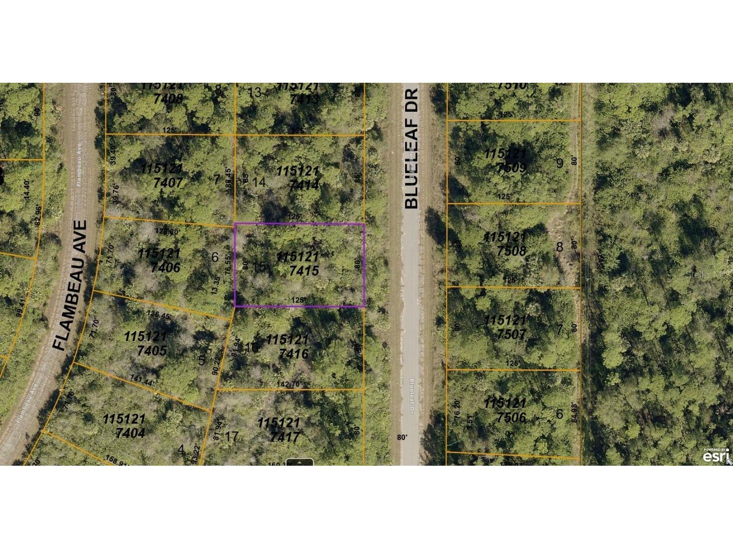 1151217415 Blueleaf Drive North Port FL 34288 A4575344 image1