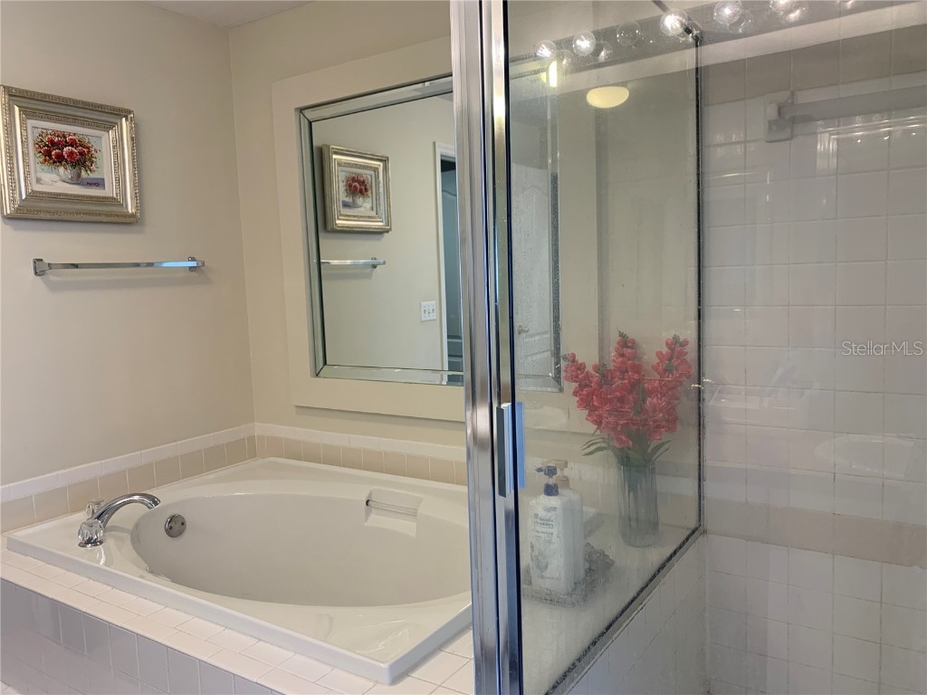 11513 Andy Drive Riverview FL 33569 TB8394861 image20