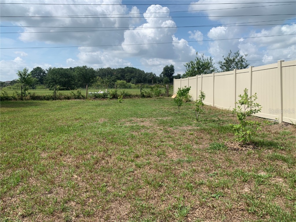 11513 Andy Drive Riverview FL 33569 TB8394861 image42