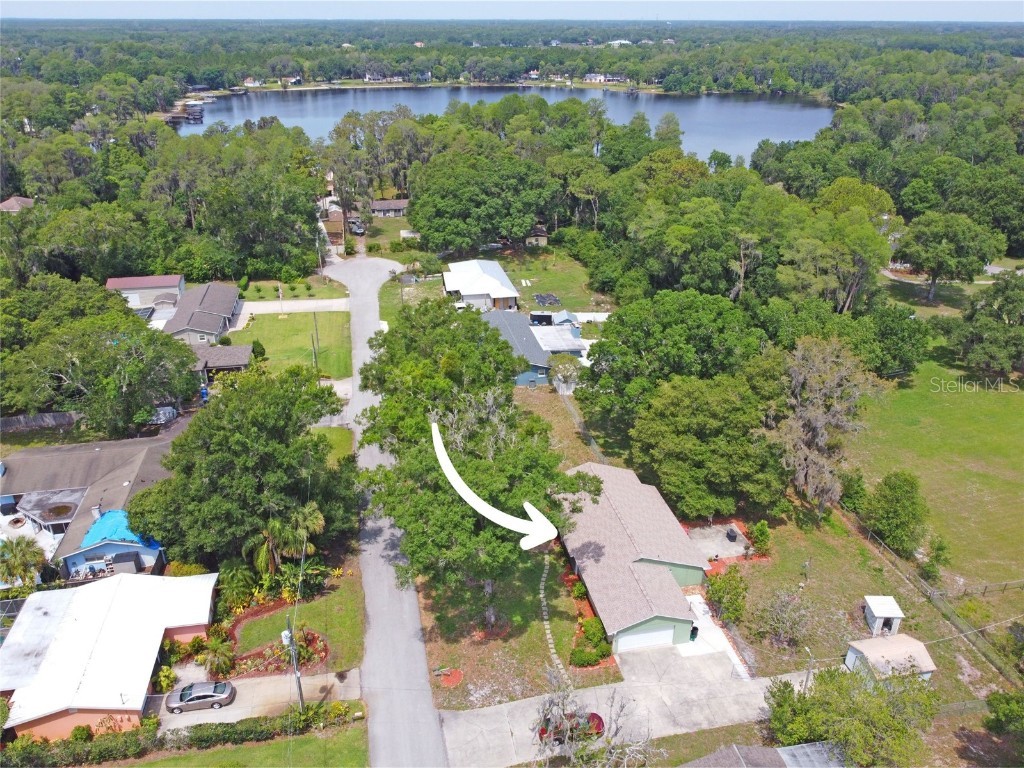 11513 Belmack Blvd N Odessa FL 33556 T3444776 image1