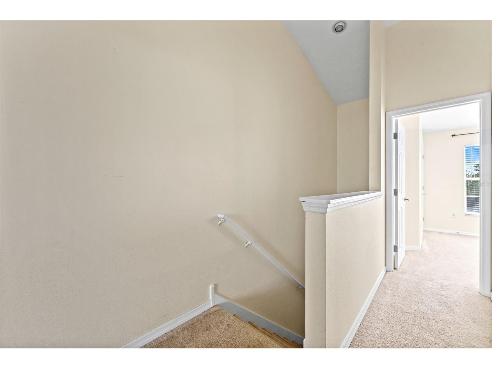 11513 Declaration Drive Tampa FL 33635 TB8517991 image19