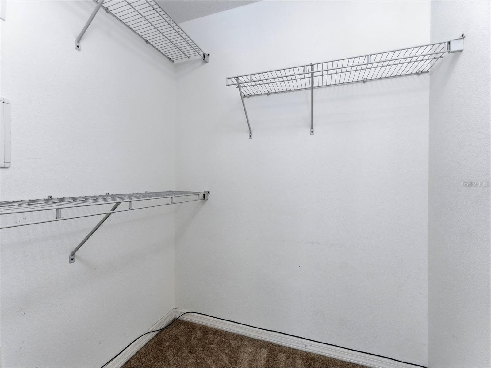 11513 Declaration Drive Tampa FL 33635 TB8517991 image27