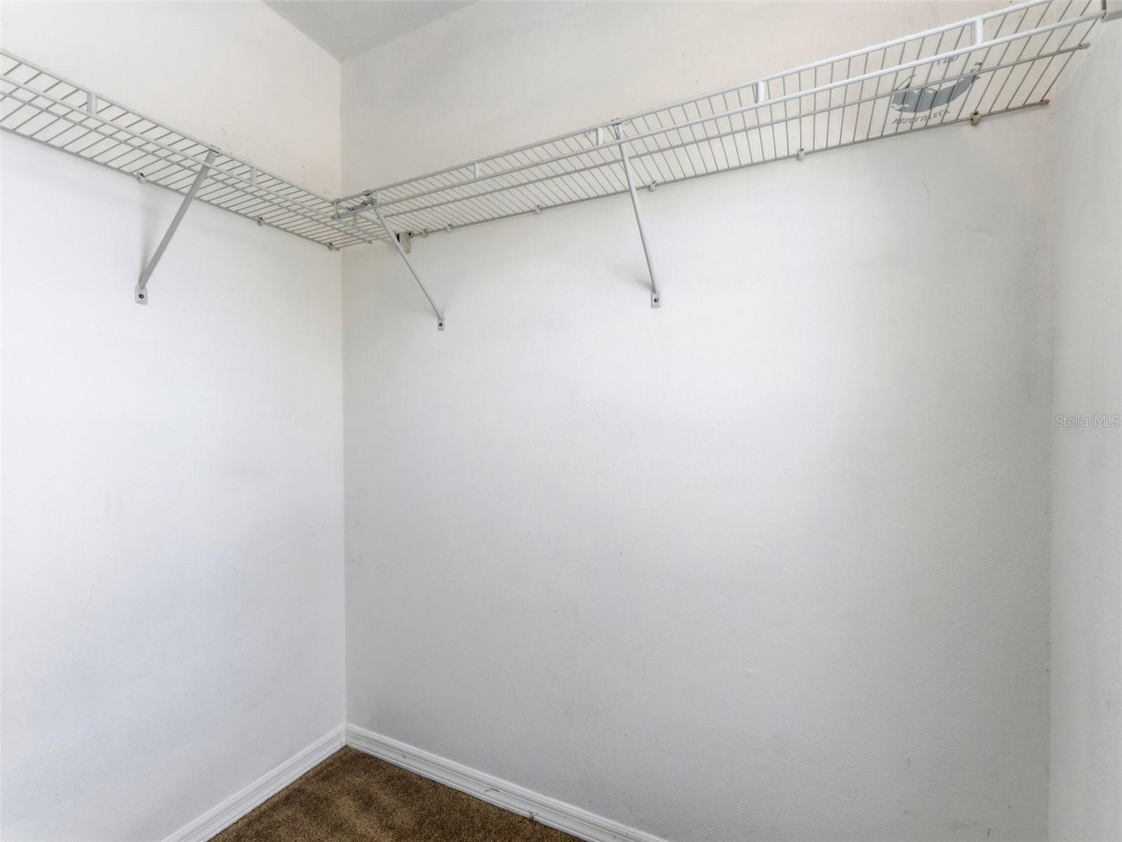 11513 Declaration Drive Tampa FL 33635 TB8517991 image32
