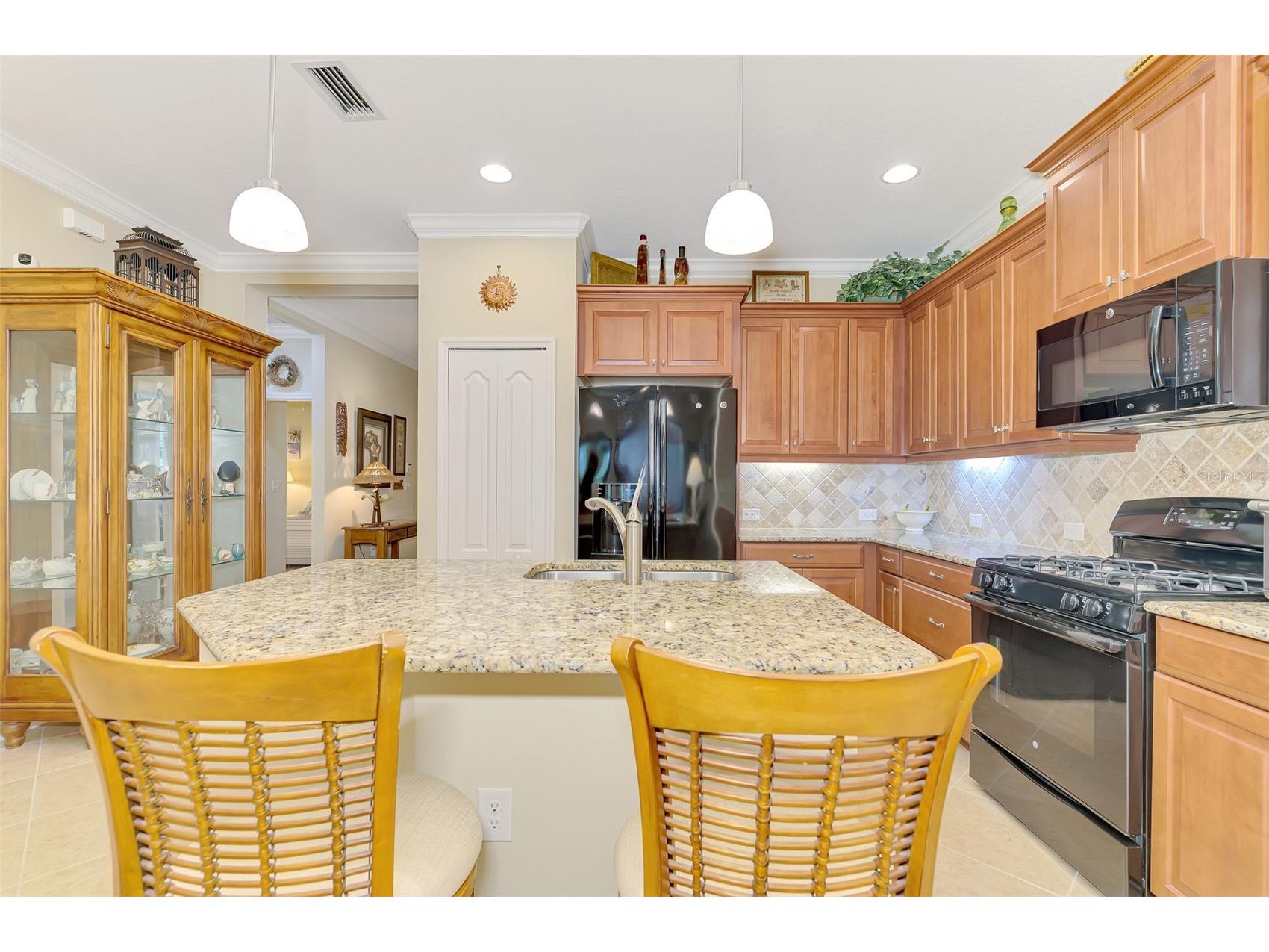 11513 Fakahatchee Court Venice FL 34293 N6143902 image19