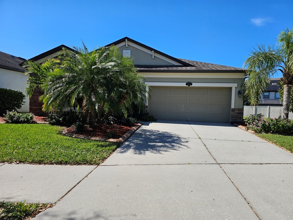 11513 Scarlet Ibis Place Riverview FL 33569 T3507653 image1