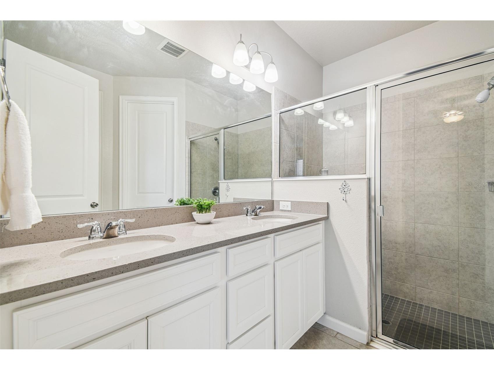 11514 Cedar Valley Drive Riverview FL 33569 A4698767 image8