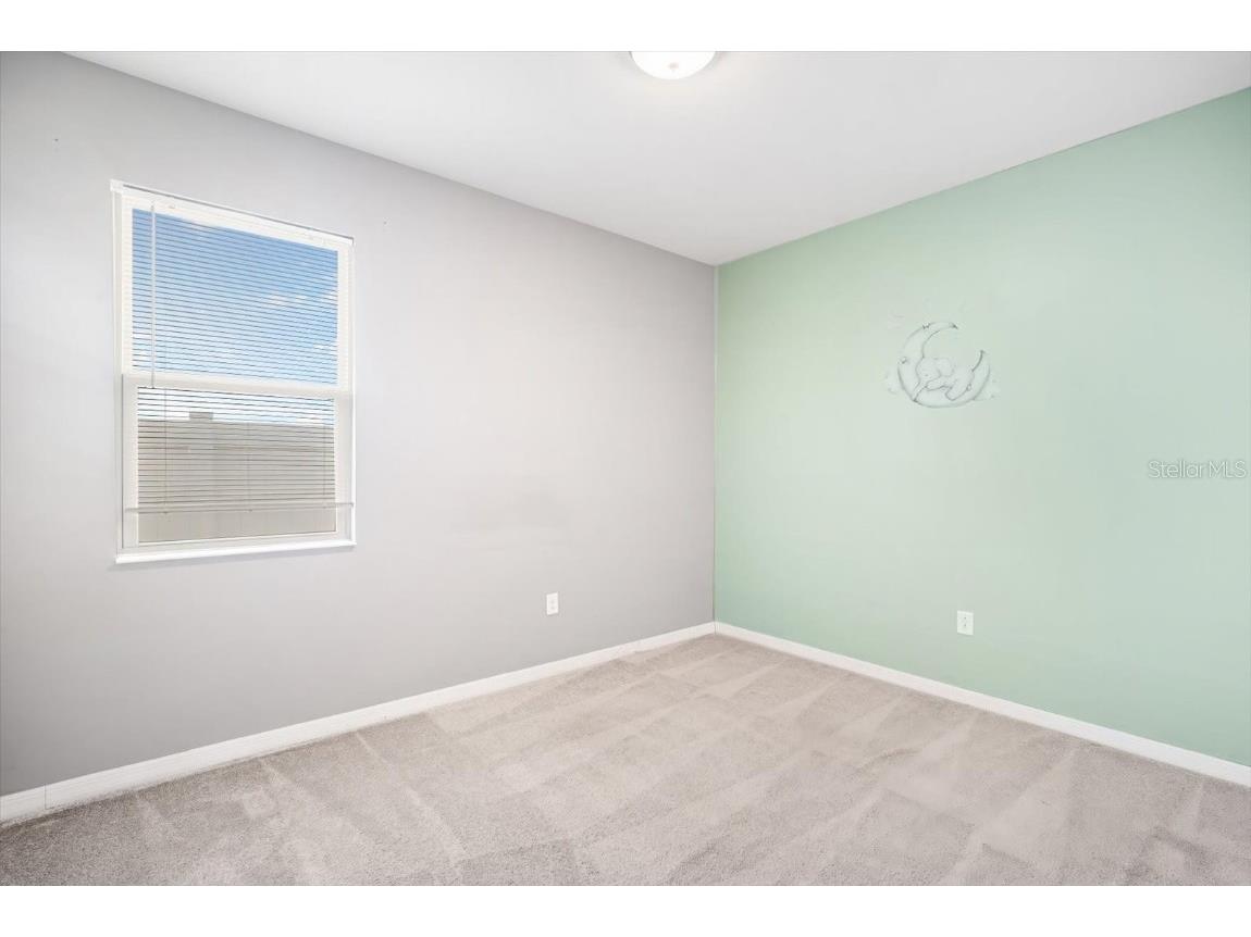 11514 Luckygem Drive Riverview FL 33579 TB8443193 image27